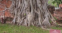 Hire a van for a tour to Ayutthaya.